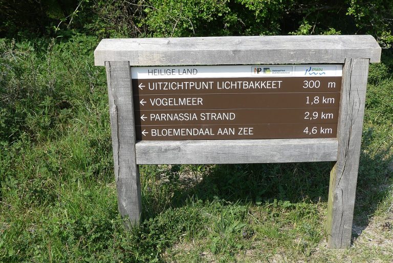 Wandeling in Nationaal Park Zuid-Kennemerland — Natuur in Zandvoort